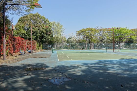 大井ふ頭中央海浜公園スポーツの森 テニスコート