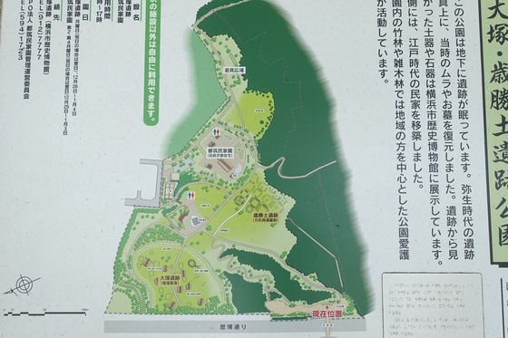 大塚歳勝土遺跡公園 園内マップ