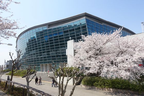 横浜国際プール 桜