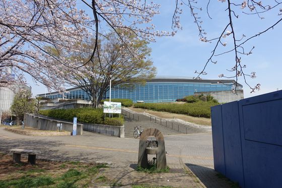 北山田駅 桜