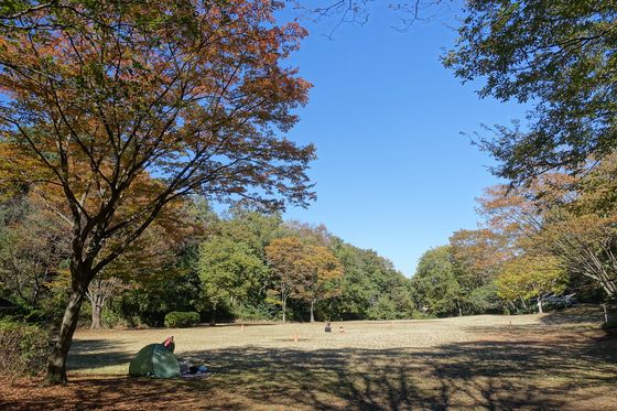 茅ヶ崎公園 横浜 紅葉