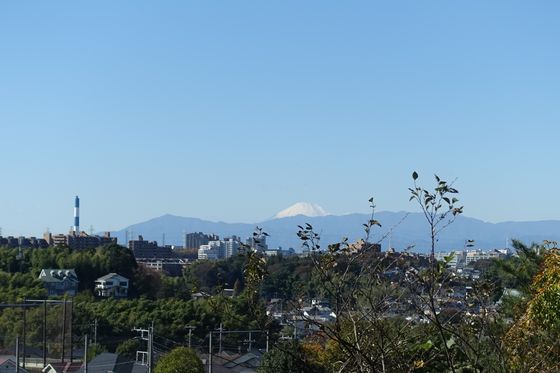 早渕公園 富士山