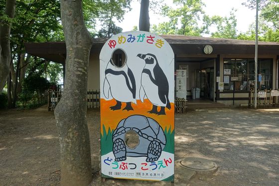 夢見ヶ崎動物公園 時間
