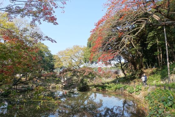 秋 細川庭園