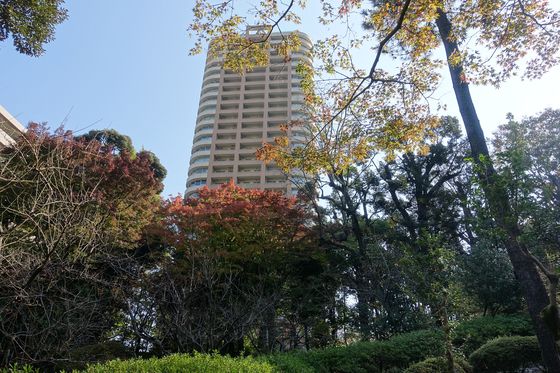 新宿 公園 紅葉 おすすめ