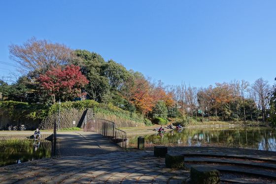山崎の池 紅葉