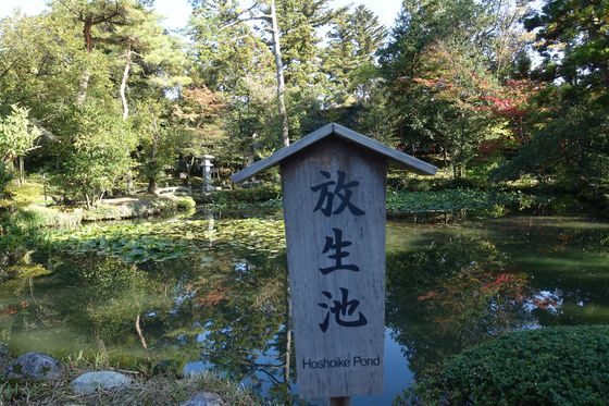 金澤神社 放生池