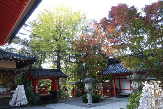 金澤神社 銀杏