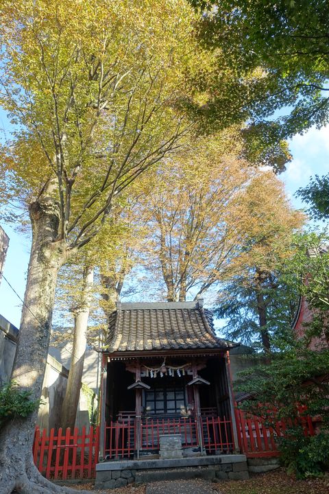 紅葉 金沢 尾崎神社