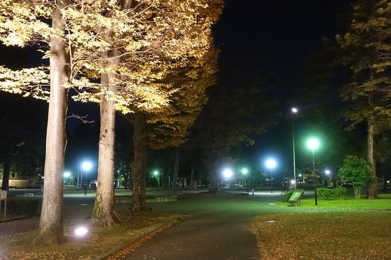 いしかわ四高記念公園 ライトアップ