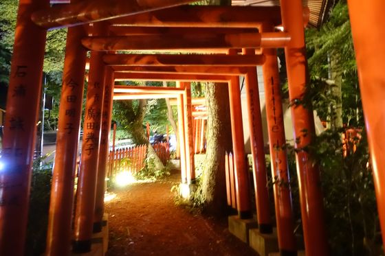 夜間ライトアップ 石浦神社