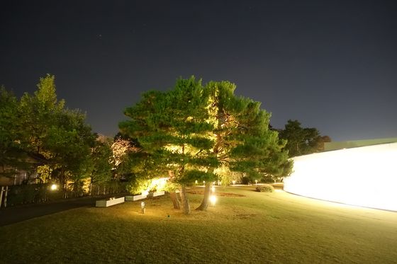 金沢21世紀美術館 夜