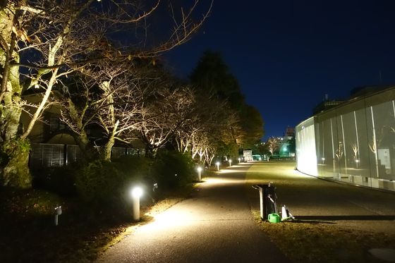 夜 金沢21世紀美術館