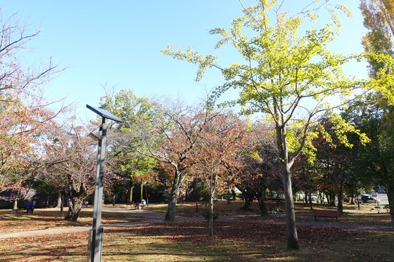 金沢 玉川公園 紅葉