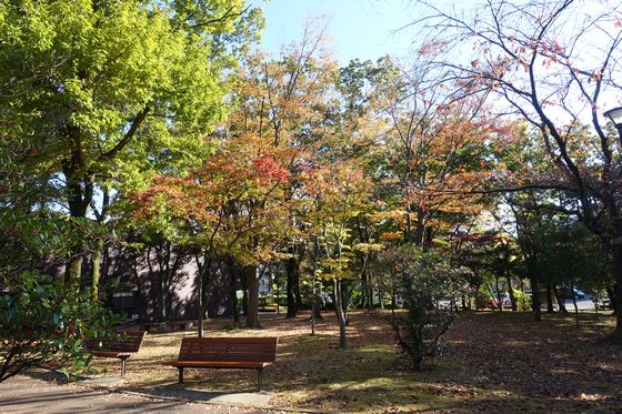 金沢 公園 紅葉