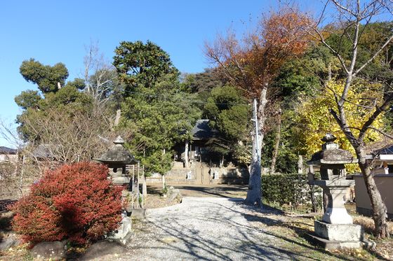 本城山公園 八幡神社 紅葉
