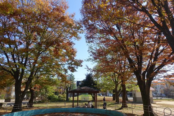 秋 平和町公園 金沢
