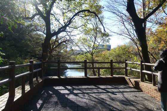 第一展望台 柿田川公園