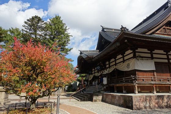 金沢 紅葉 尾山神社