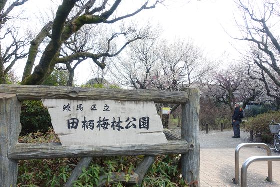 田柄梅林公園