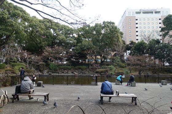 横浜公園 日本庭園