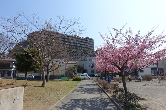 大岡公園 横浜