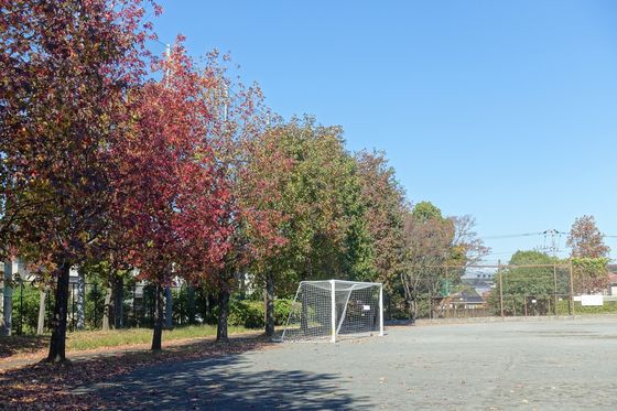 都筑区 紅葉 せせらぎ公園