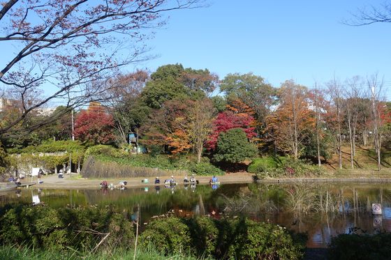 都筑区 紅葉 山崎公園