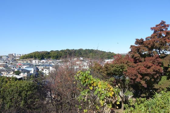 都筑区 紅葉 早渕かなりあ公園