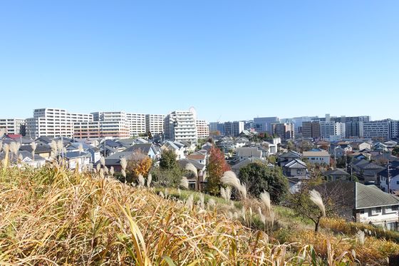 都筑区 紅葉 中川八幡山公園