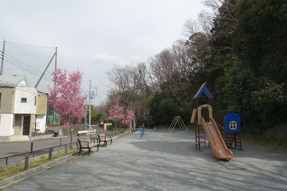 久良岐公園 おかめ桜 場所