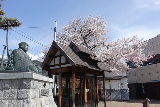 塩山駅 桜