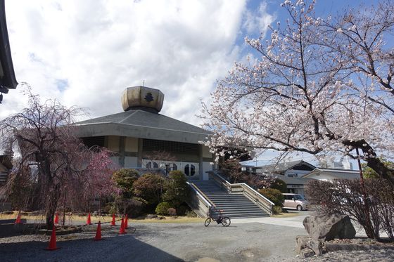 甲府 寺 桜