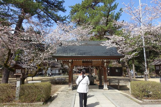 桜 武田神社