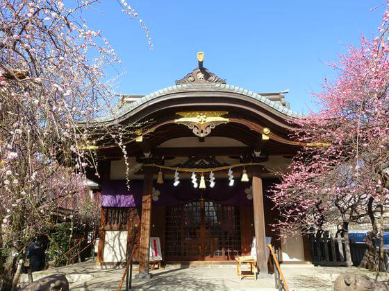 文京区 梅 北野神社