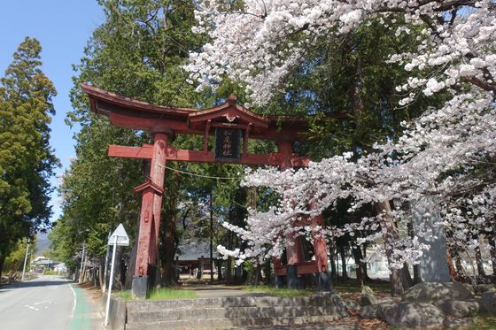 甲州市 桜 松尾神社
