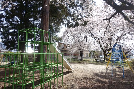 塩山 神社 桜