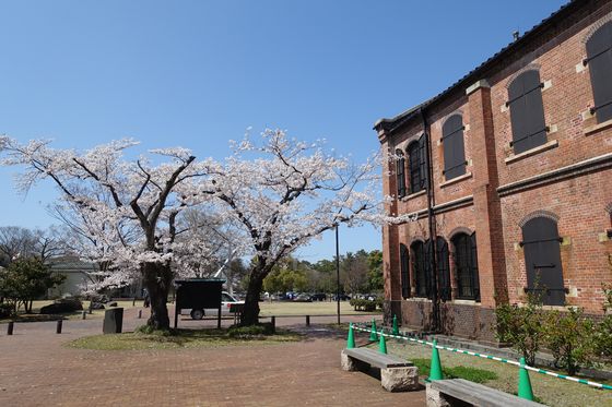 石川県立歴史博物館 春