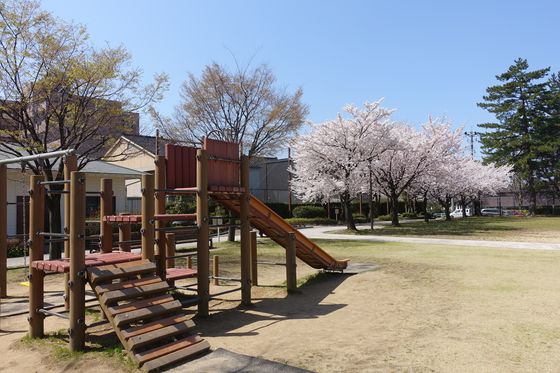 金沢 桜 穴場