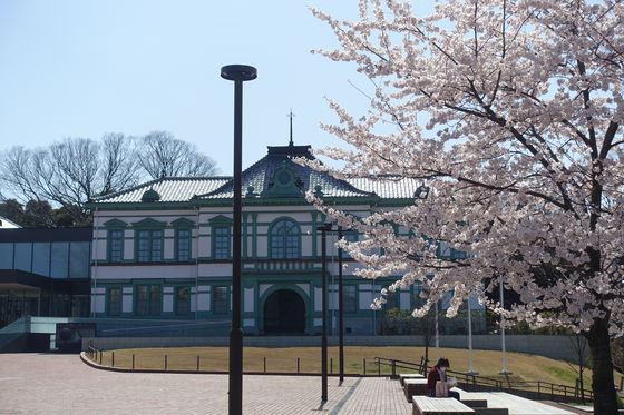 国立工芸館 桜