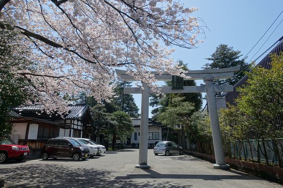 桜 尾山神社
