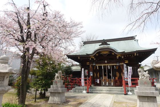 三谷八幡神社 桜