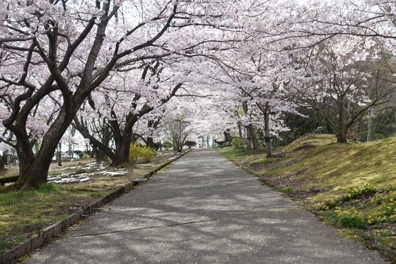 御所桜公園