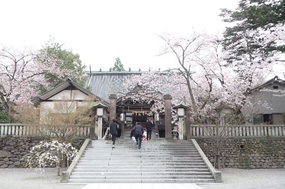 桜 宇多須神社