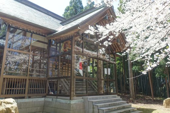 褝ヶ峯神社 桜