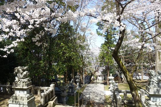 桜 褝ケ峯神社