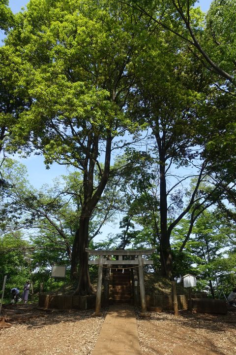 浅間山公園 浅間神社