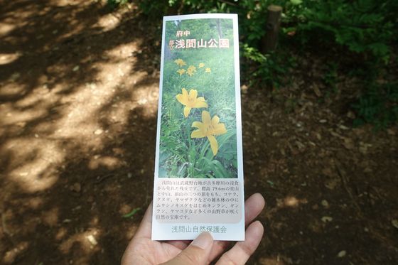 浅間山公園 栞