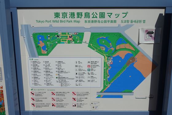 東京港野鳥公園 園内マップ