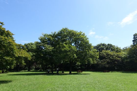 東京港野鳥公園 芝生広場